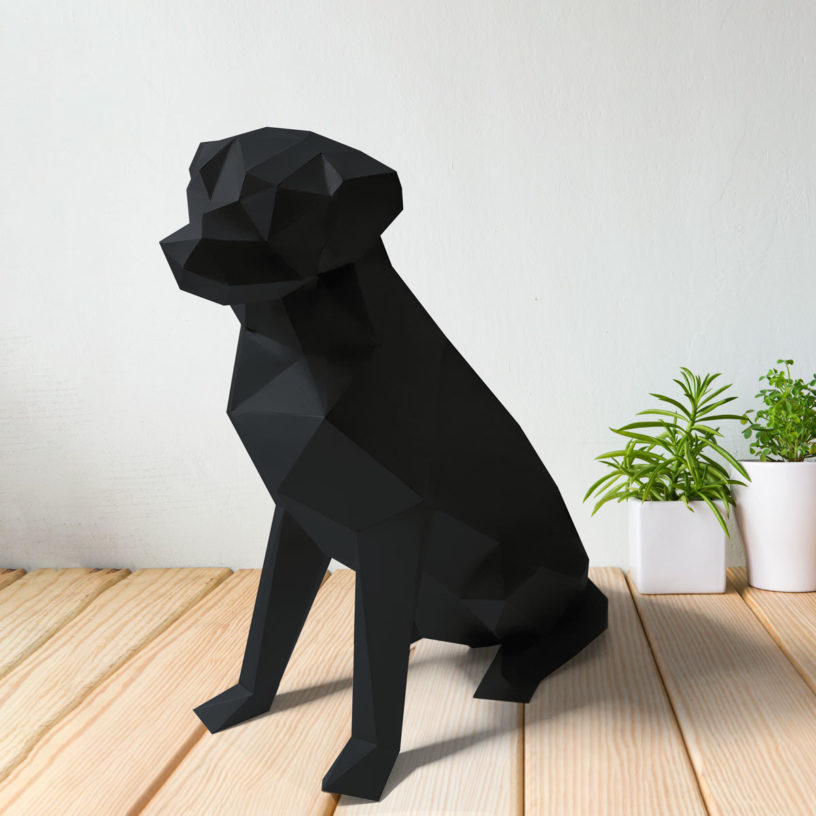 Cachorro labrador preto